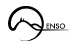 Enso Geospatial
