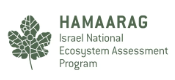 Hamaarag